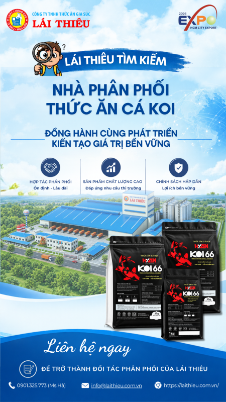 LÁI THIÊU MỜI HỢP TÁC PHÂN PHỐI THỨC ĂN CÁ KOI KOI66